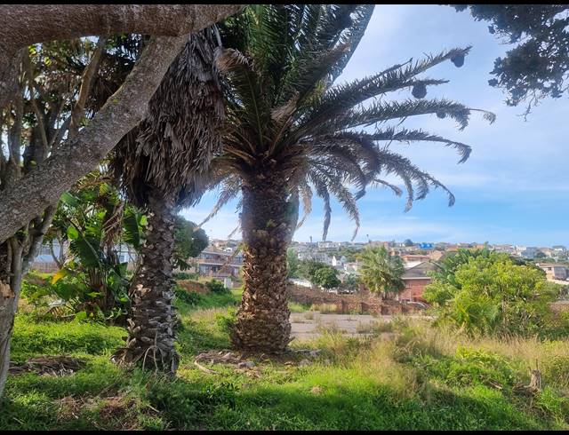 893M² VACANT LAND FOR SALE IN DANA BAY